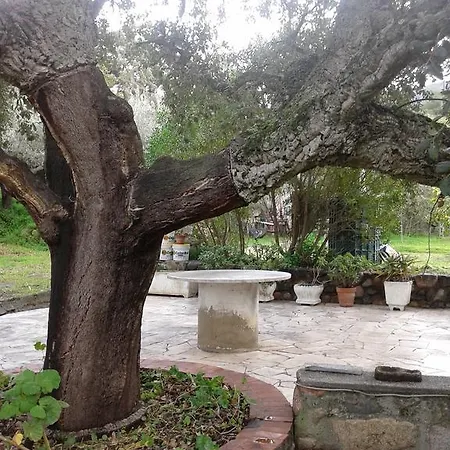 La Quercia