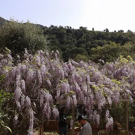 La Quercia San Gregorio (Sardinia)