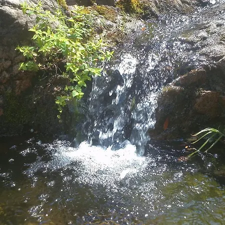 Bed & Breakfast La Quercia San Gregorio (Sardinia)