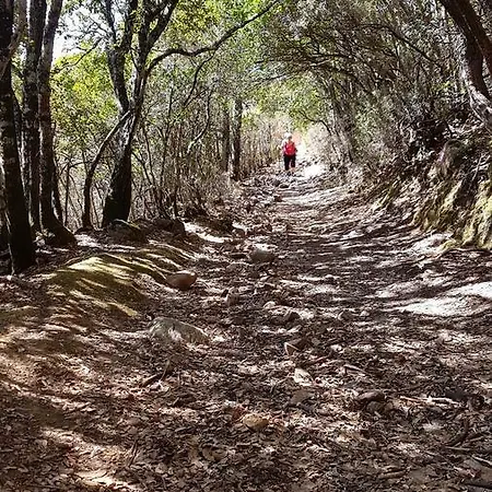 La Quercia Bed & Breakfast San Gregorio (Sardinia)